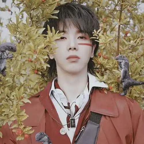 华晨宇仙气头像