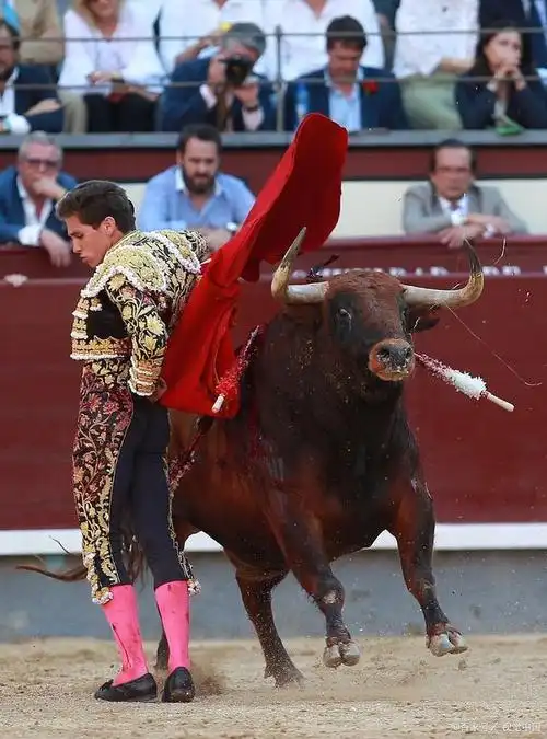 勇者的节日-西班牙斗牛节