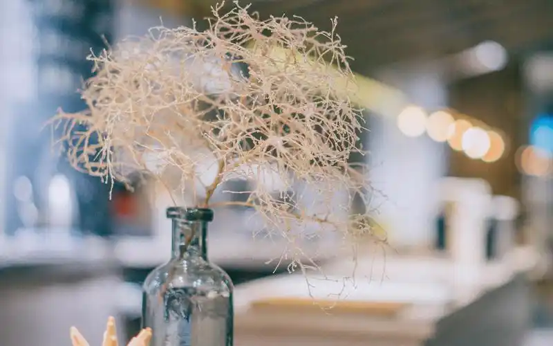 小清新室内静物唯美高清壁纸高清大图预览1920×1200_高清壁纸下载_美