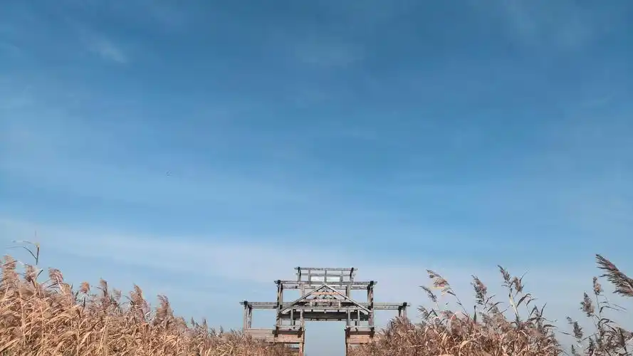 总有些沿途的风景,温柔了时间,温暖了岁月 - 堆糖,美图壁纸兴趣社区