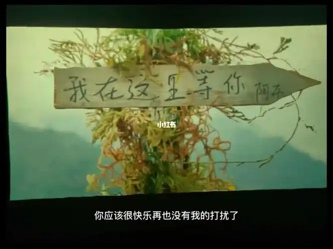 我我依然在我的世界安静沉默如果没有遇见你还是你你可以继续在你的世