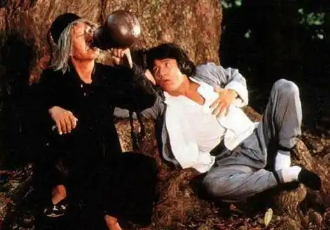 1978年,成龙依靠这部电影,片酬从3000块涨到480万_洪金宝_活动_动作