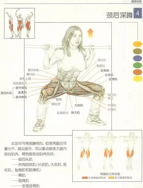 深蹲深蹲健身肌肉男深蹲