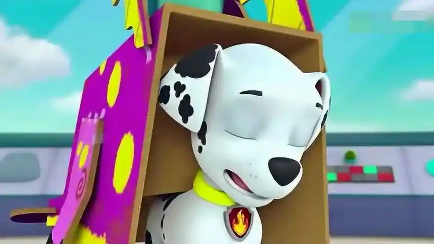 汪汪队立大功:毛毛可能太累了,排练的时候都睡着了