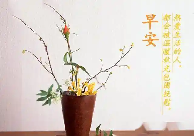 最能打动人心的早安问候每天在群里发早安问候的句子