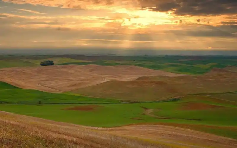 黄历 吉日大全 > > 2021年农历三月十六理发如何?剪下的头发怎么处理?