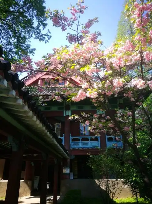 南师大随园校区