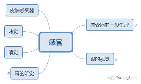 思维导图生理感觉器官