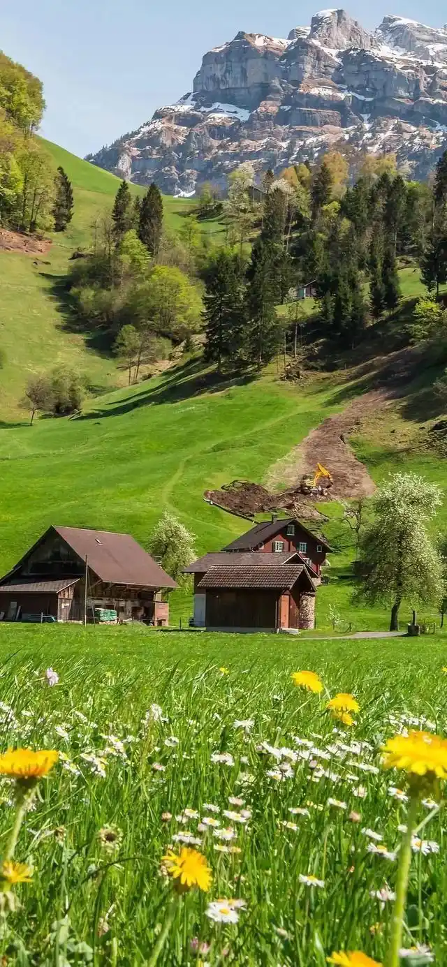 乡村田园风光全面屏手机壁纸