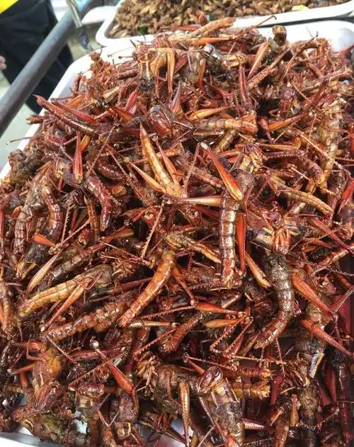 时不时的就可以碰到那些卖油炸昆虫的小摊,像油炸的蜈蚣,蝎子,蚂蚱,竹