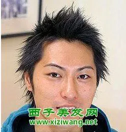 男生短毛刺发型图片