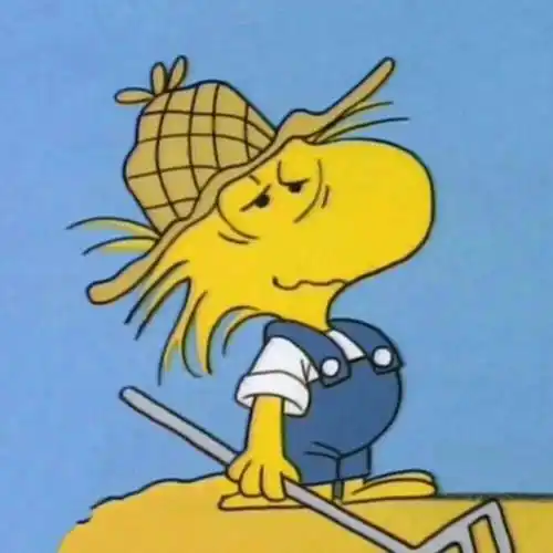 「沙雕头像」身在无间 心在桃源_微信_壁纸_姓氏