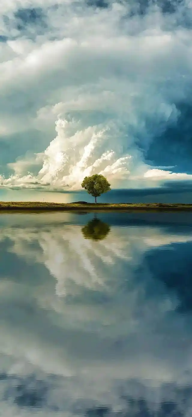 640_1385竖版 竖屏