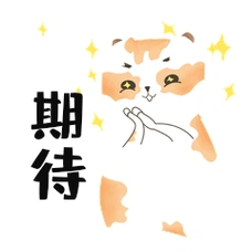 小猫咪表情包期待