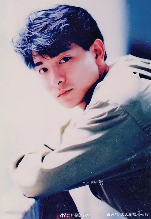 刘德华:帅了一辈子,只要提到他,就是帅的标志!