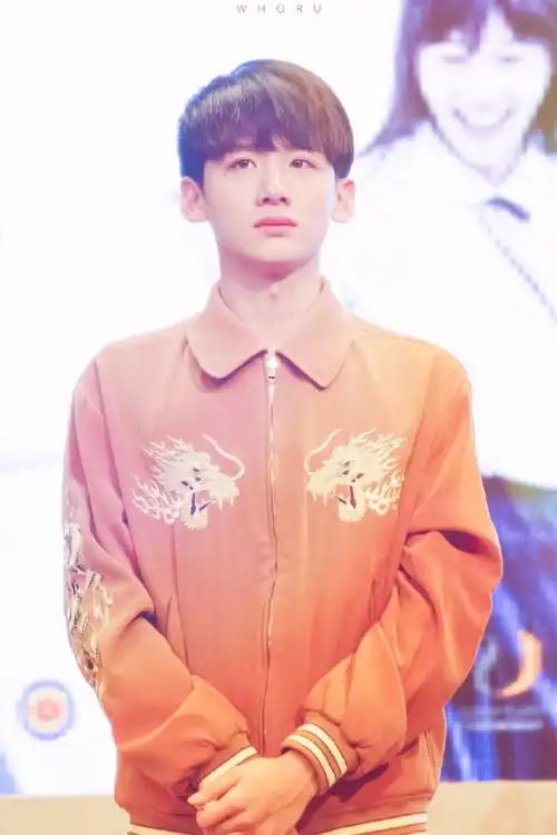 关于白敬亭的答案之书##白敬亭桑延