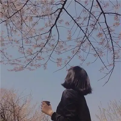 唯美女生小清新2020背影头像大全 别把你的傲气当资本来炫耀,女生头像