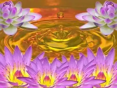 故事《西方的极乐世界》纯属虚构,勿轻信.愿生西方净土中,九品 - 抖音