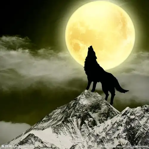 谜(其二,依然很迷的文体)