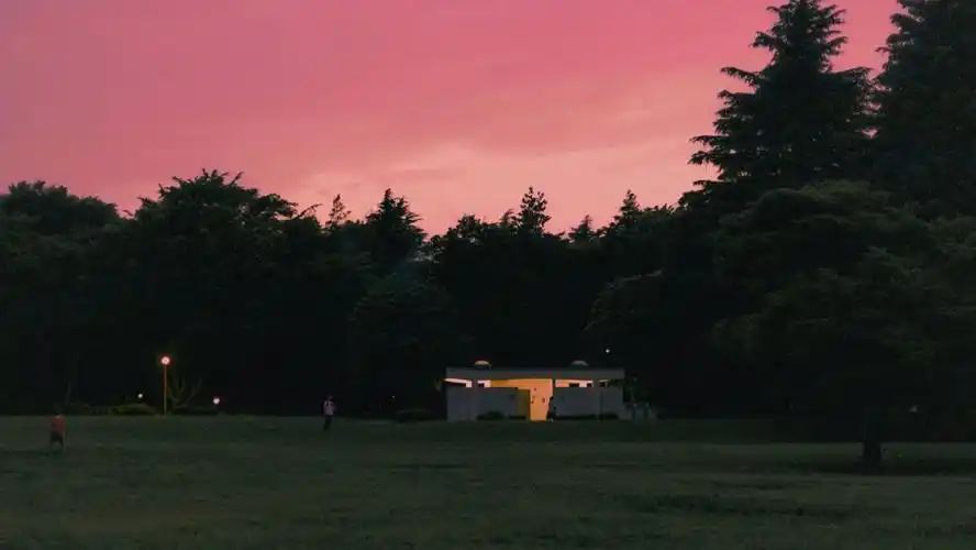 有没有特别温柔特别神仙的背景图