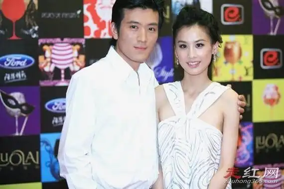 杨子个人资料简介及家世为什么要娶黄圣依