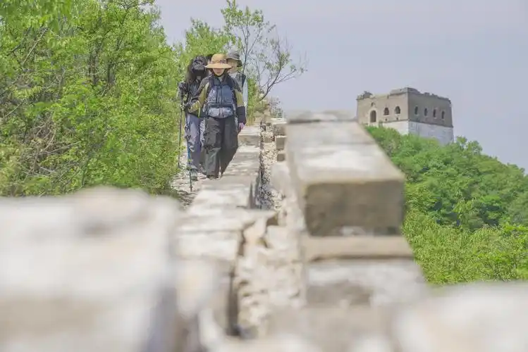 植物,土壤,灰浆都要取样,箭扣长城来了三位不同学科博士