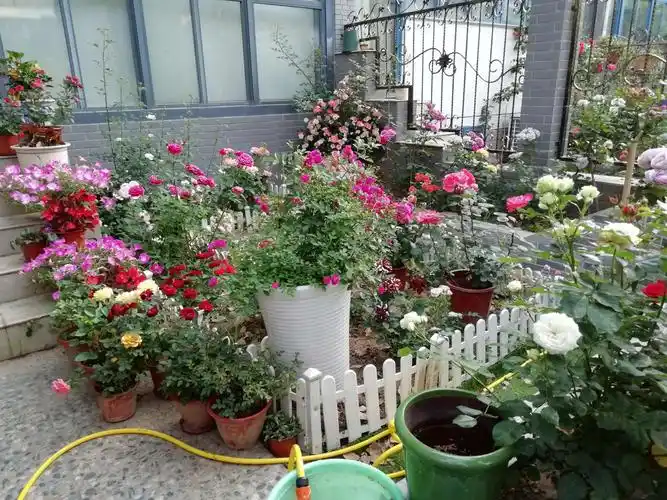 邀你欣赏:富有艺术品位的小院