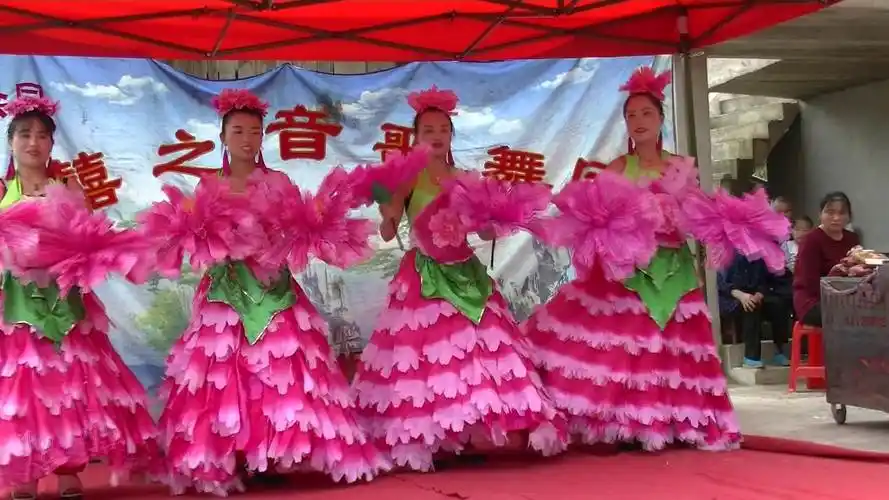 贵州农村结婚请来歌舞团表演,相当隆重-黔东之窗摄制 (1)