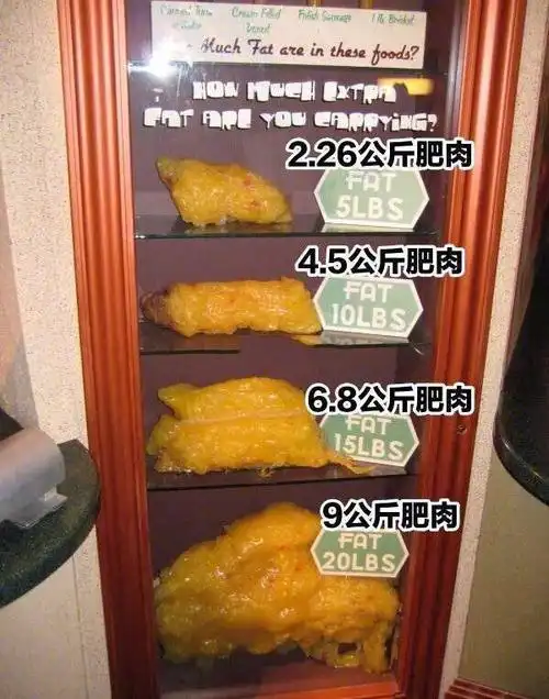 胖子和瘦子的区别到底有多大看到身上这几斤肉你不想减肥都难