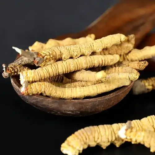 奇正藏药 冬虫夏草 野生虫草 青藏高原高海拔 新货干草洁净饱满 三级