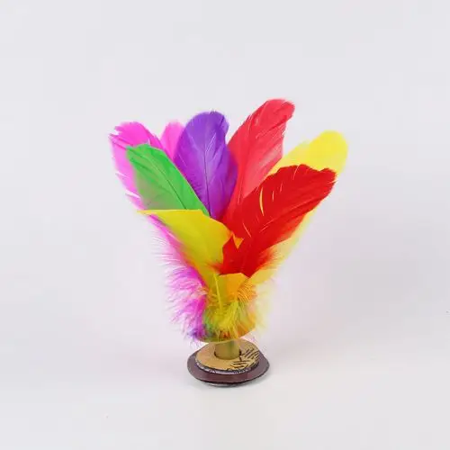 毽子羽毛比赛专用彩色荷花单色荷花毽子精装荷花毽子毽子毽子