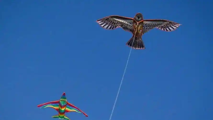 春分| 岁时春已半,人间正芬芳_中国_风筝_燕子