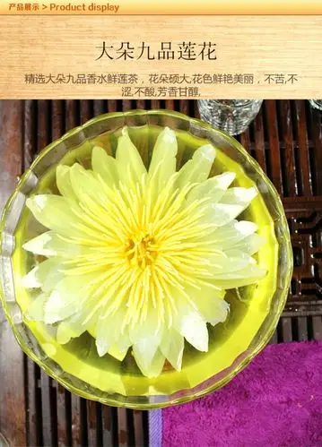 【香水莲花】台湾品种九品香水莲花茶养生花茶高端茶品 35g/一罐