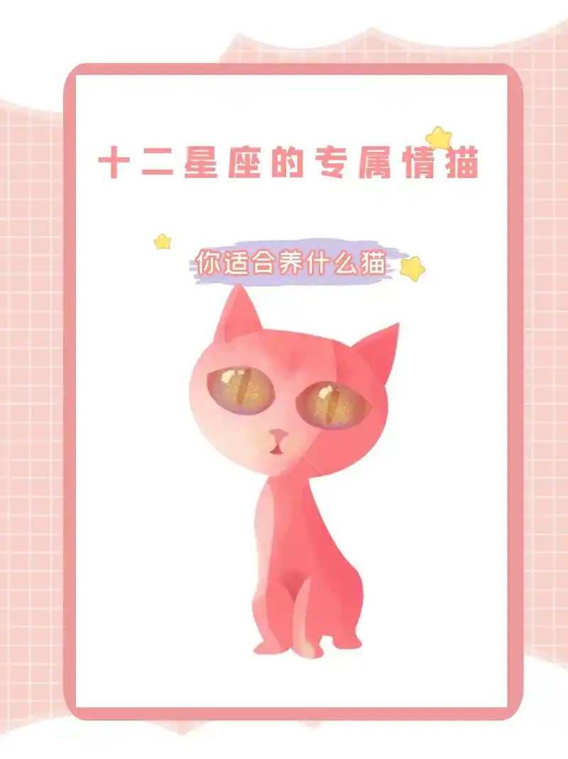 十二星座还有自己专属猫咪,看看我说对了没!#萌宠 #我和我的 - 抖音