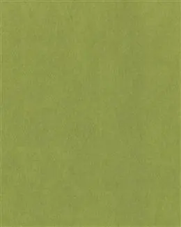 无字米色背景雾蓝色纯色背景图绿色牛皮纸背景黄色纯色背景复古牛皮纸