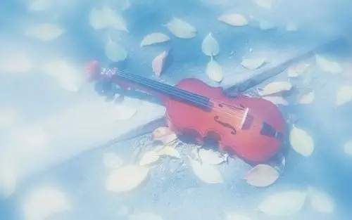 相关标签 壁纸音乐小提琴          标题