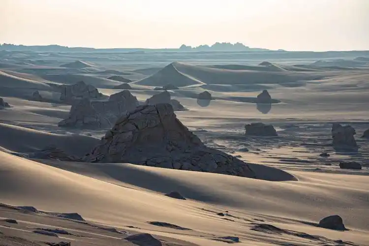 其它 南疆哈密戈壁无人区摄影创作小记 写美篇沙漠红柳 小南湖雅丹