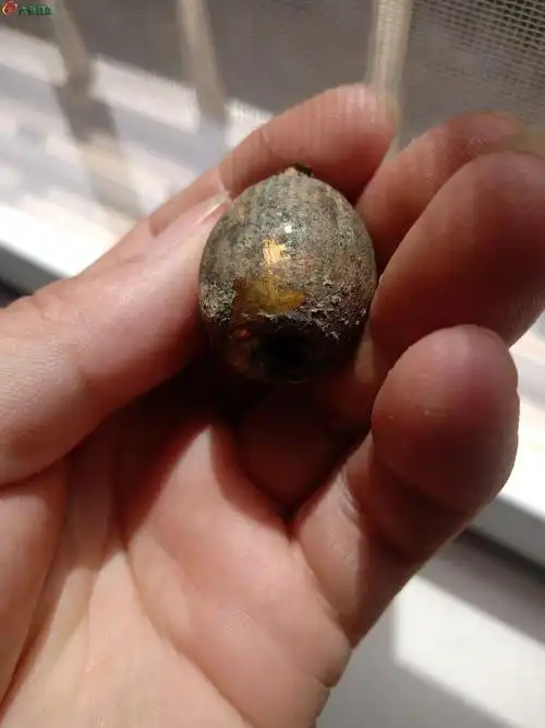 03清代老铜鎏金官帽顶珠一个