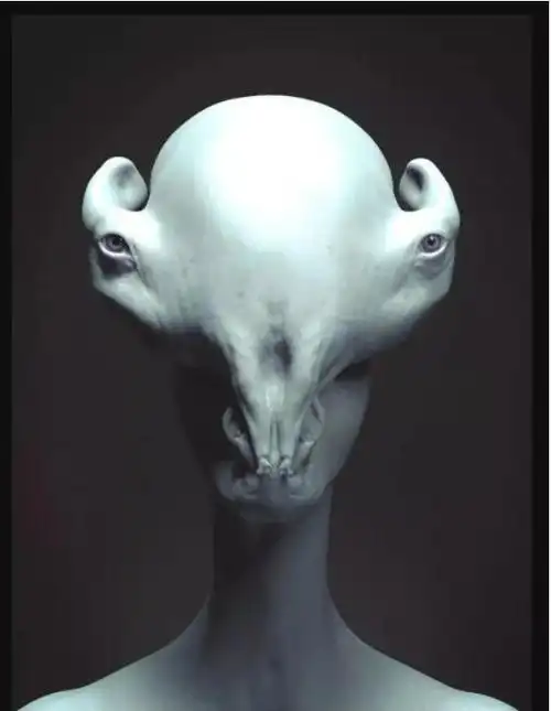 第三种可怕的理论其实我们都很熟悉了,它就是关于外星人的种种猜想.