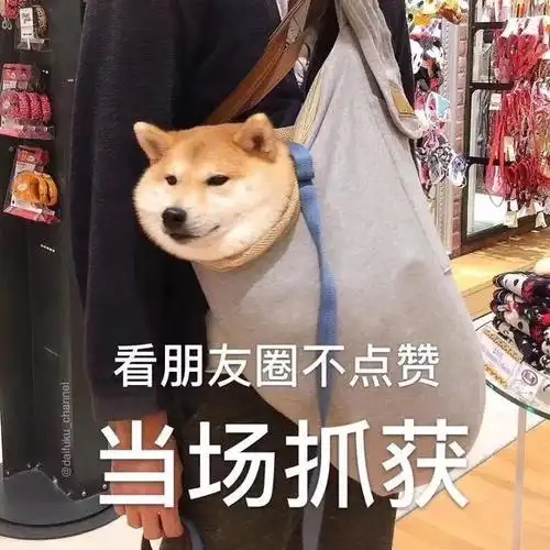 看朋友圈不点赞当场抓获(狗子)