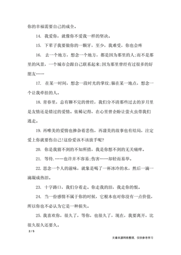 男人最伤感的句子经典语句docx5页