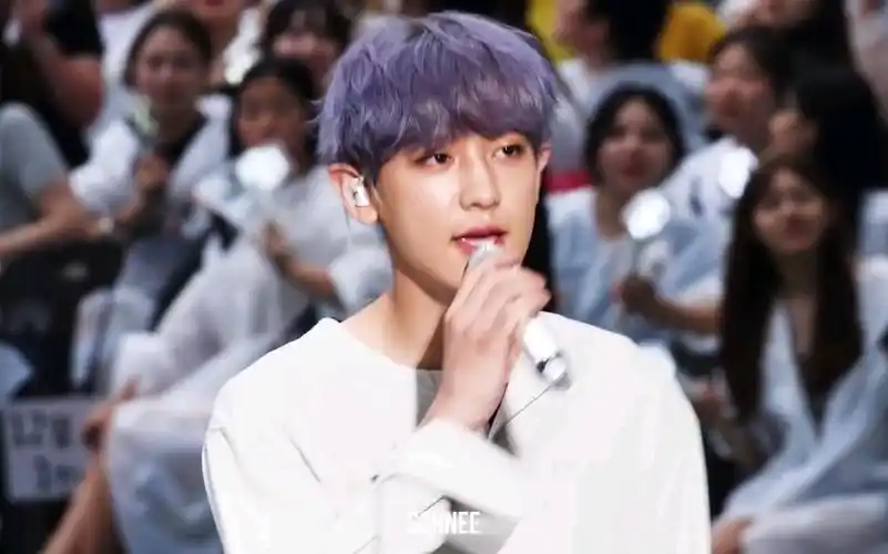 朴灿烈紫发帅哥我的心头肉staywithme朴灿烈直拍