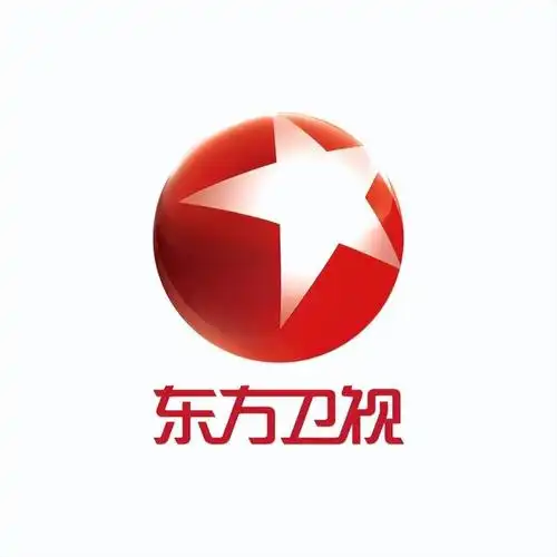 三十四家省级卫视谁家logo最好看