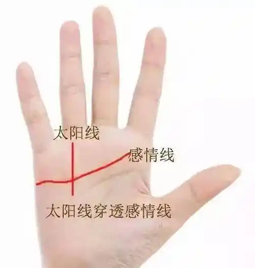 当你手上的太阳线往下延伸,即从无名指根部一直伸展到感情线时,这暗示