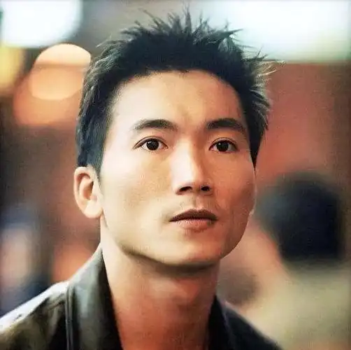 从32岁张国荣到61岁欧阳震华这群港星打了多少内地明星的脸