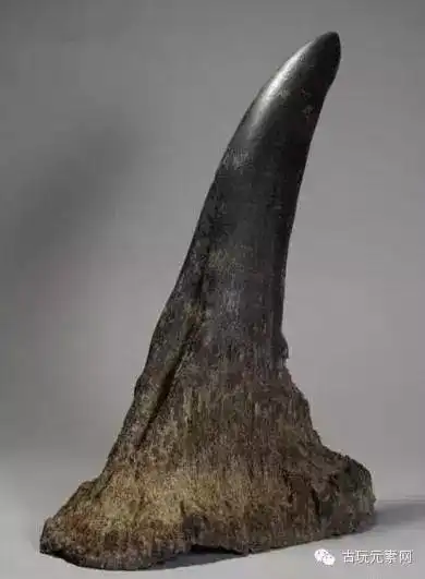 犀牛角识别,犀牛角的最简单的辨别方法(种犀角的结构与区别)