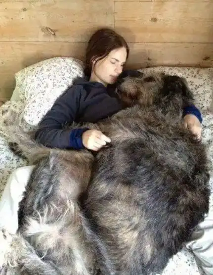 老公和长发美女甜蜜同框疑似出轨竟是我家1米8的狗