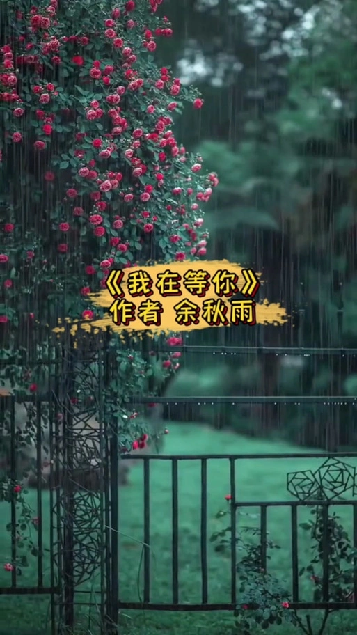 我在等你余秋雨的写作背景