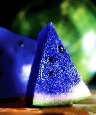 蓝色的西瓜,美不美?你见过吗?