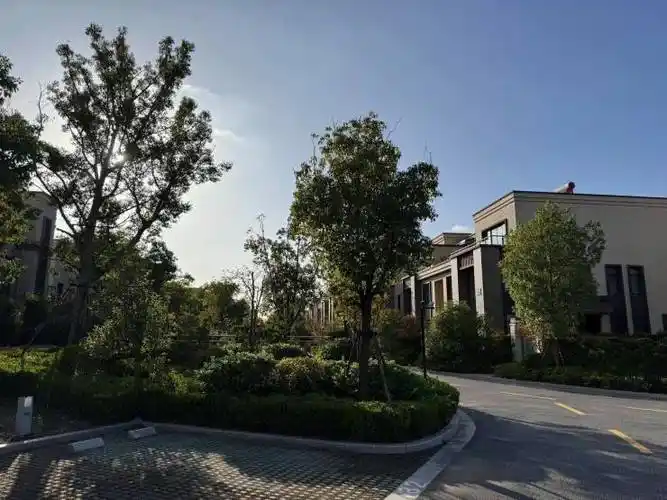 盐城房产>盐城房产资讯>盐城房产市场>荷玛诗湾(苏州荷玛诗湾别墅)